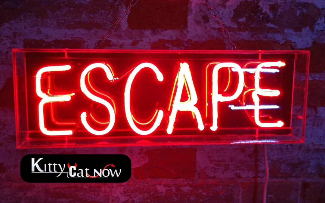 Escape the Ordinary: How to Throw a Bachelor Party He’ll Never Forget in Phoenix