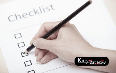 Phoenix Bachelor Party Planning Checklist: Fall Edition