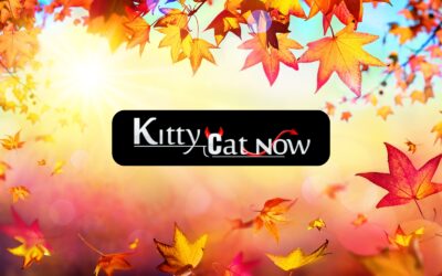 Why Fall Is the Best Season for Bachelor & Bachelorette Parties in Phoenix