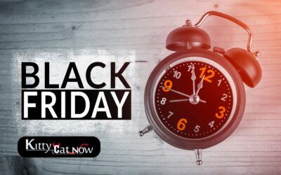 Black Friday Party Ideas: Celebrate Big with Exotic Dancers in Phoenix