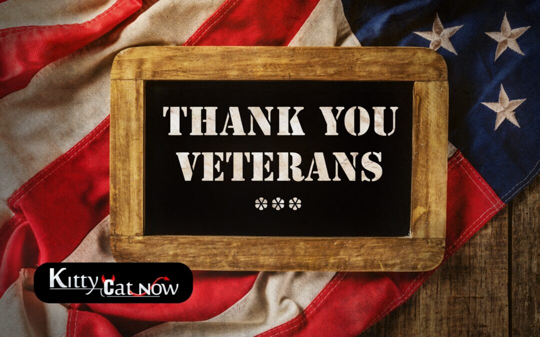 Veterans Day Ideas: Private Entertainers Bring the Party to You in Phoenix