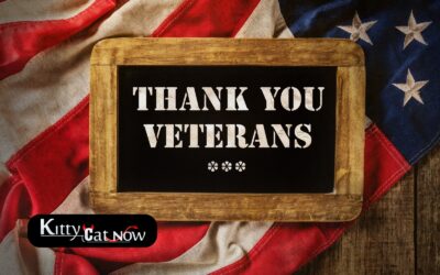 Veterans Day Ideas: Private Entertainers Bring the Party to You in Phoenix