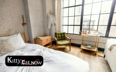 Planning a Private Airbnb Party with Strippers in Phoenix