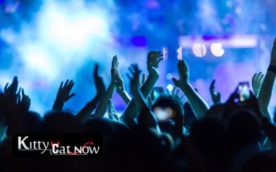 Why Booking Strippers from an Agency Is Safer Than Independents in Phoenix