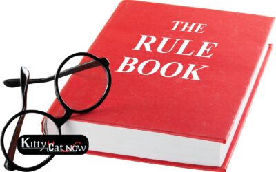 Bachelor Party House Rules in Phoenix Before the Strippers Arrive
