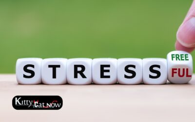 Hosting Private Party Entertainment at Home in Phoenix: A Stress-Free Guide