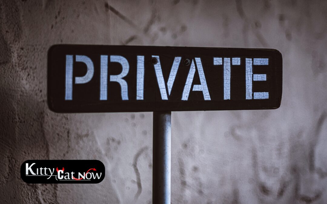 Why Private Party Entertainment Beats the Club Scene in Phoenix