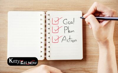 Bachelor Party Checklist in Phoenix with Strippers