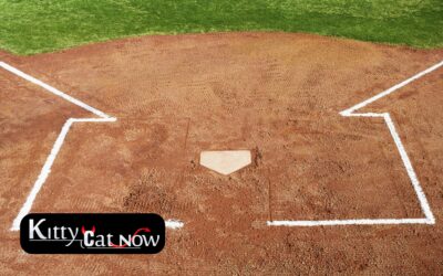 Booking Strippers During Baseball Spring Training in Phoenix