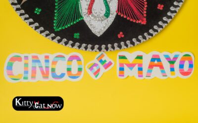 Cinco de Mayo Party Ideas in Phoenix: Tacos, Tequila & Private Strippers