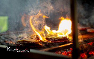 Memorial Day Party Ideas in Phoenix: BBQ, Private Entertainment & VIP Vibes
