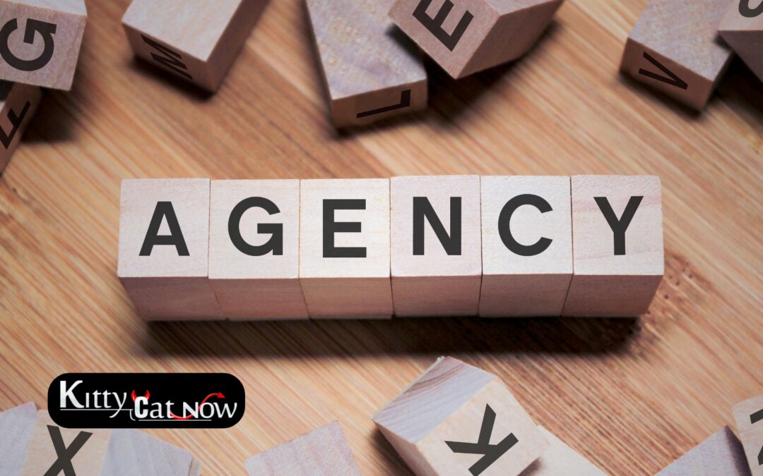 How to Choose a Legit Stripper Agency in Phoenix