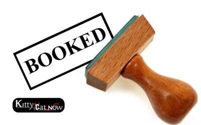 When to Book Strippers in Phoenix (Peak Times)