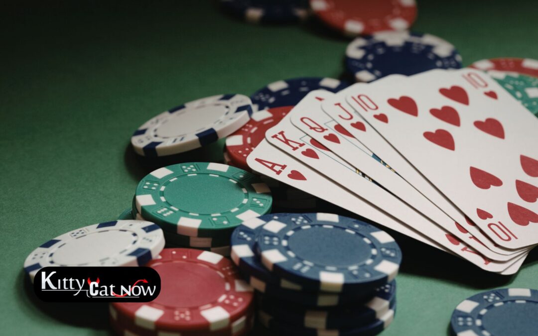 Poker Night Upgrade: Private Entertainment for Your Phoenix Home Game