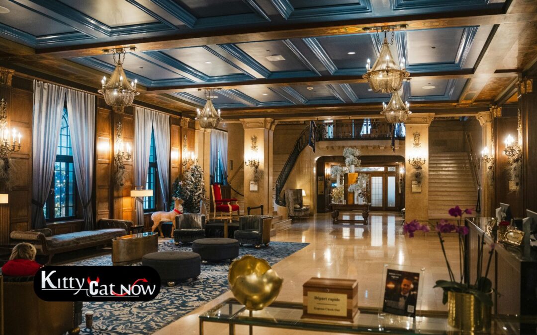 Hotel Suite vs. House Rental: Where to Host Your Phoenix Bachelor Party