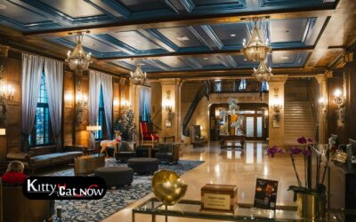 Hotel Suite vs. House Rental: Where to Host Your Phoenix Bachelor Party
