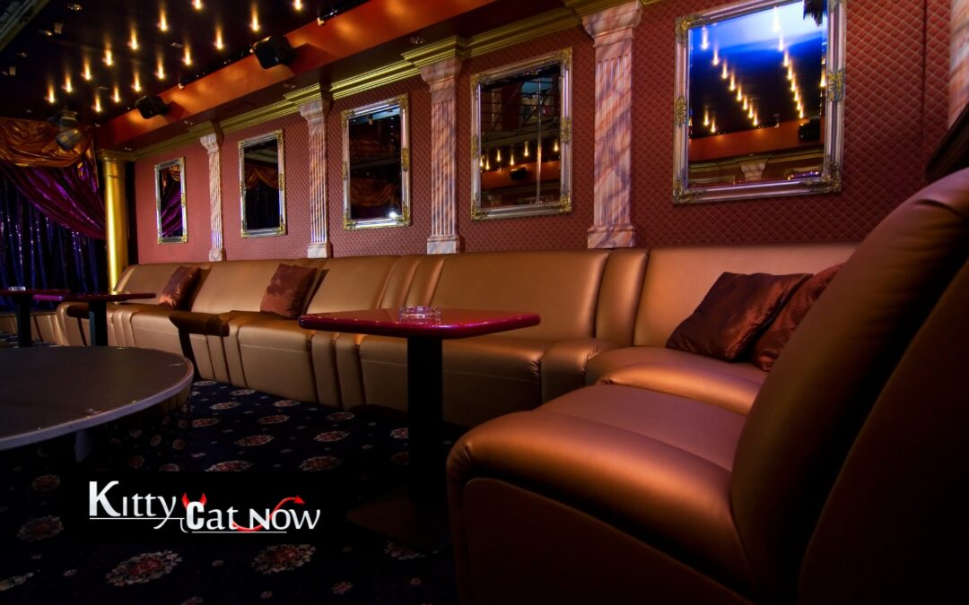 Strip Clubs vs. Private Strippers in Phoenix