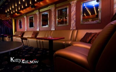 Strip Clubs vs. Private Strippers in Phoenix